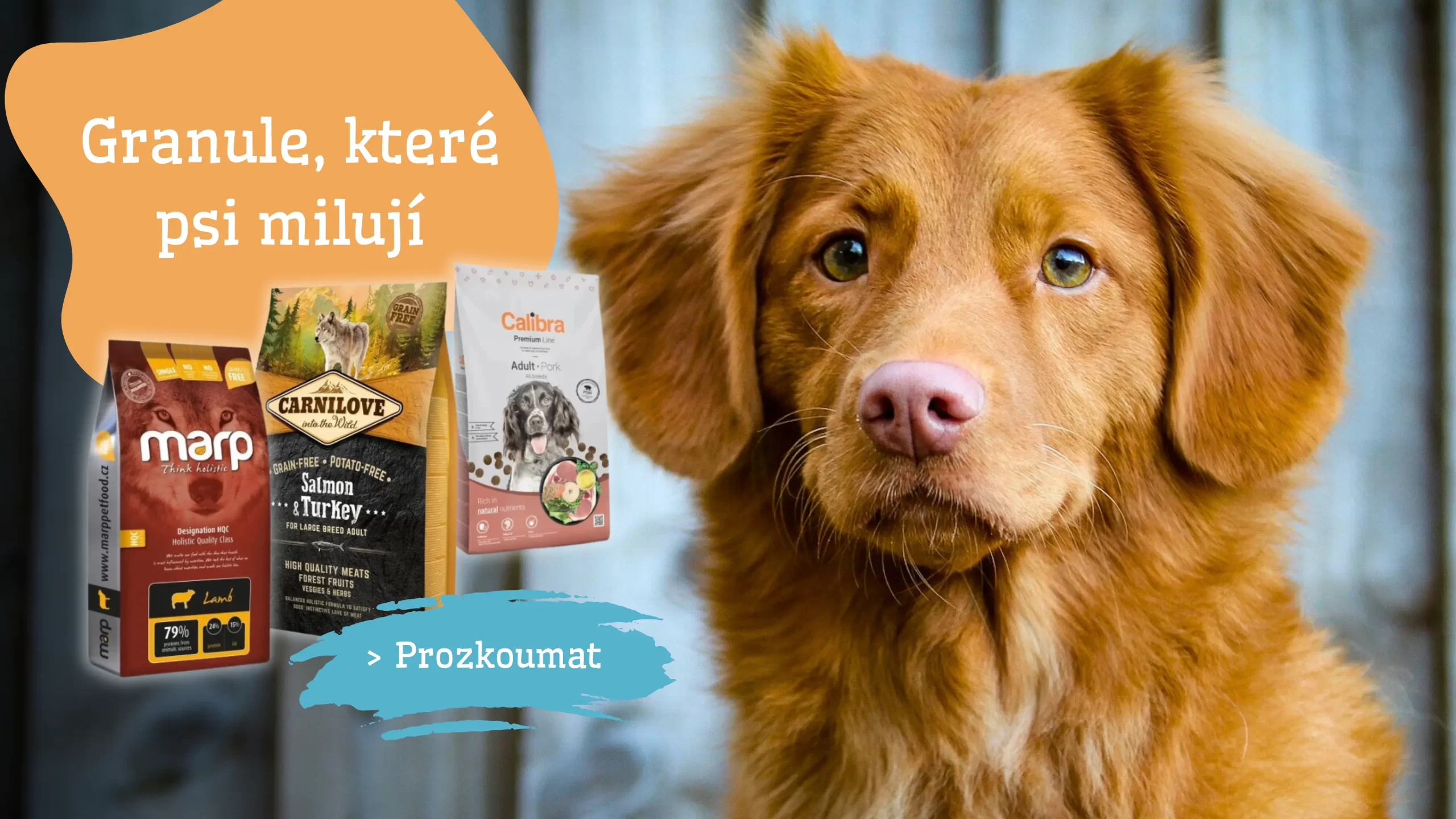 4legs grafika
