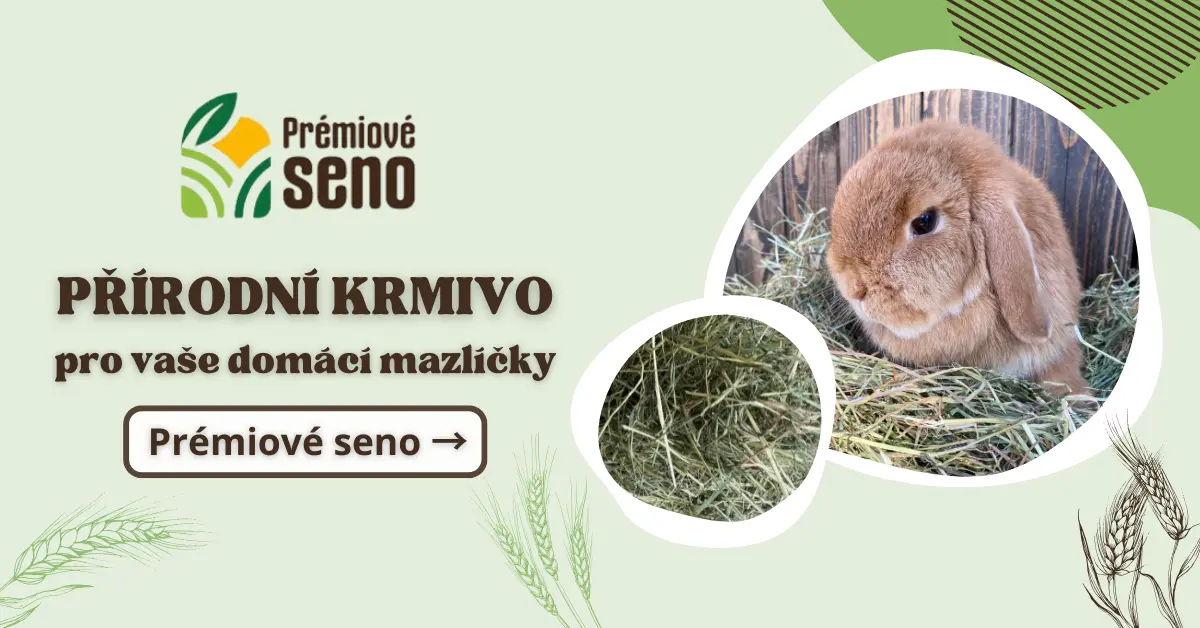 Premiove seno grafika